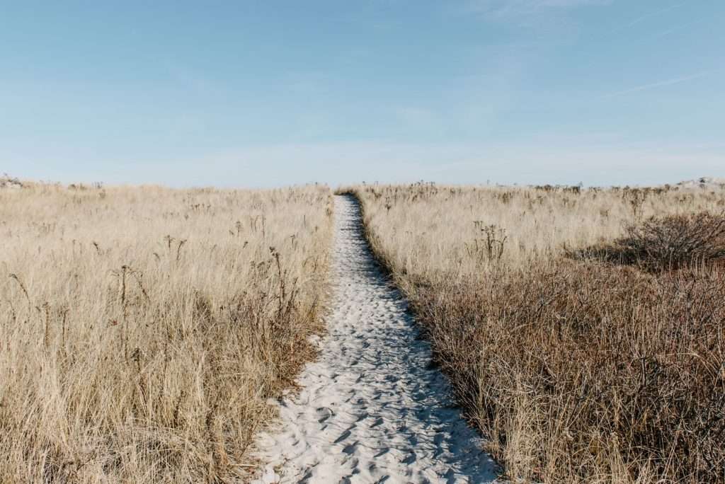 Default Path