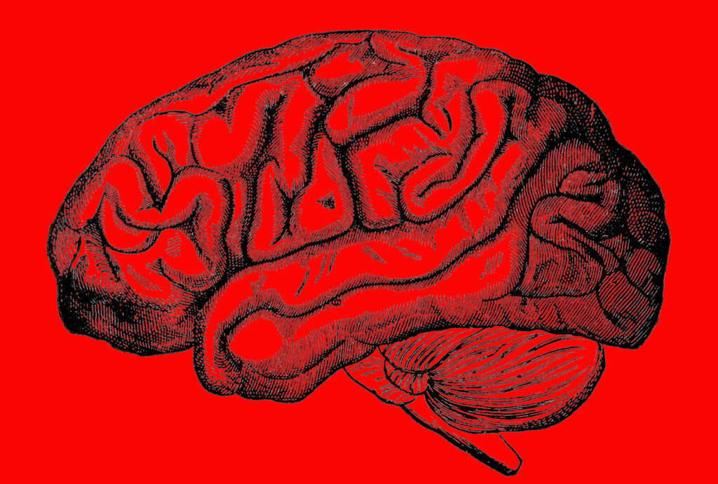 Illustration of a human brain depicted in black with intricate details, set against a vivid red background, subtly reflecting the intricacies of marketing psychology.